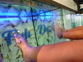 Fish + feet = smooth