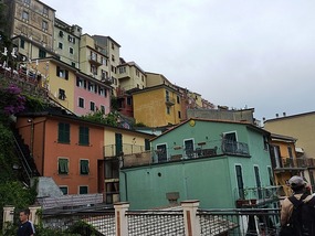 Manarola houses