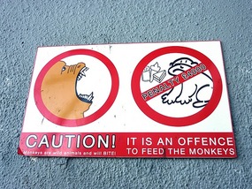 Don't feed them
