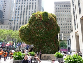 Plant art at the Rockefeller Building
