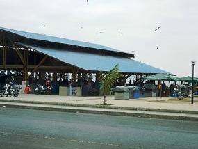 Manta Fish Markets