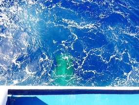 The ship's stabilisers