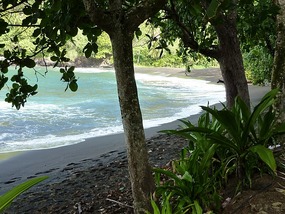  Black sand beach
