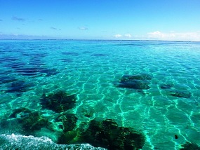 So clear