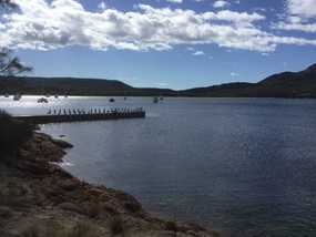 Coles harbour