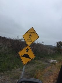 An interesting road sign.