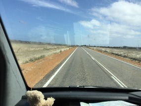The road ahead.