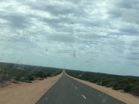 The long straight road.