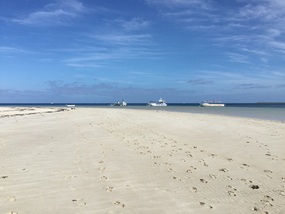 Our transport!