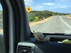 On the road again.