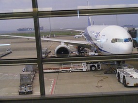 ANA flight