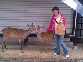 Deer with Lena