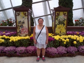 Flowers and lanterns