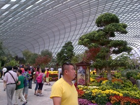 Inside the Flower Dome