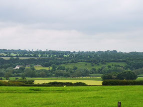 Fields around Newgrange 1