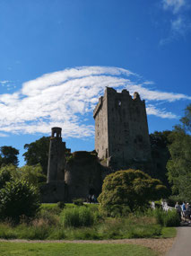 Balrney Castle