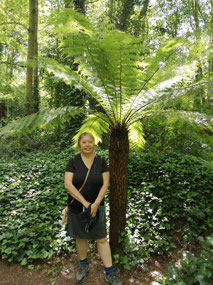 Fern Garden