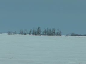 Bleak Saskatchewan