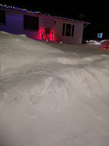 Wynyard snow