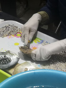 Extracting pearl