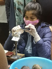 Opening oyster