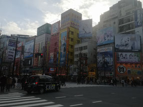 Akihabara 2