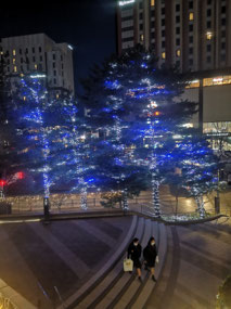 Nice trees