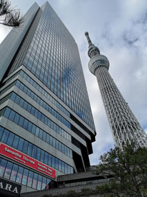Skytree 2 buildings
