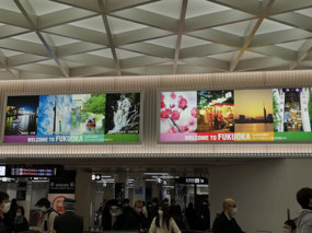 Welcome to Fukuoka