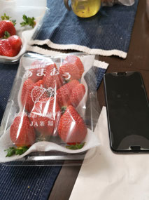 Strawberry pack