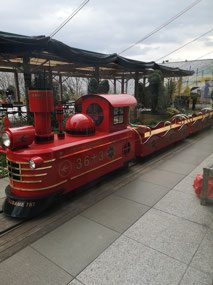 Train on roof