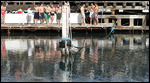 The swimmers are patiently waiting....(Epiphany)
