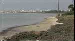 The Salt Lake in Larnaca