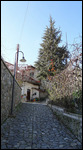 Kalopanayiotis in January - Troodos range