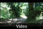 A minute's walk from the AMANITA Guesthouse