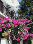 THE HOTEL