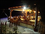 AGIOS CONSTANTINOS BY NIGHT