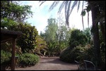ENTERING THE PARK