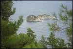 WAVY COASTS 