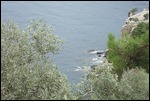 THE COAST BELOW
