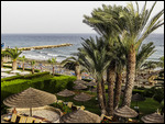 The beautiful coast