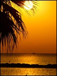 Sunrise from the Palm Beach Hotel & Bungalows