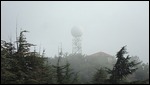 UP ON THE TROODOS MOUNTAINS 