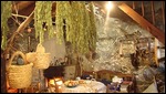 HERBS HANGING FOR DRYING