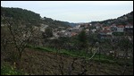 The village of Potamitissa in Pitsilia