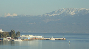The fish central market in Chalkida