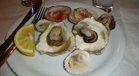 Oysters and shells at Batis