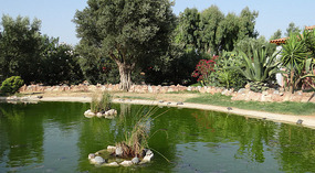 Life in the Zoo