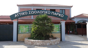 The entrance 