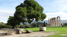 The temple of Zeus